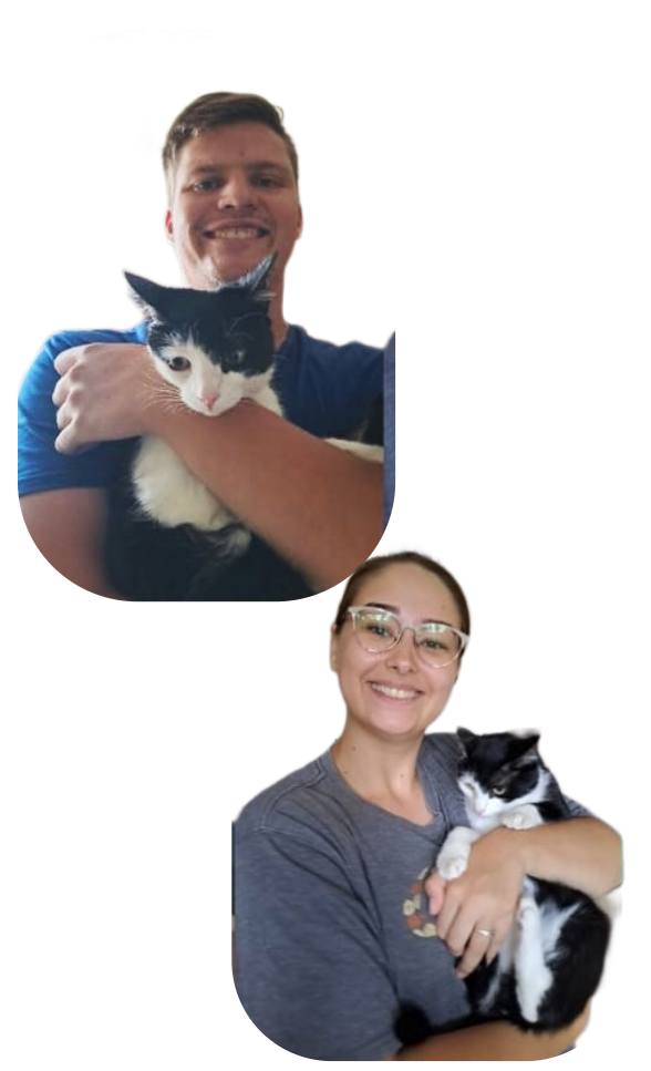 Pet care service